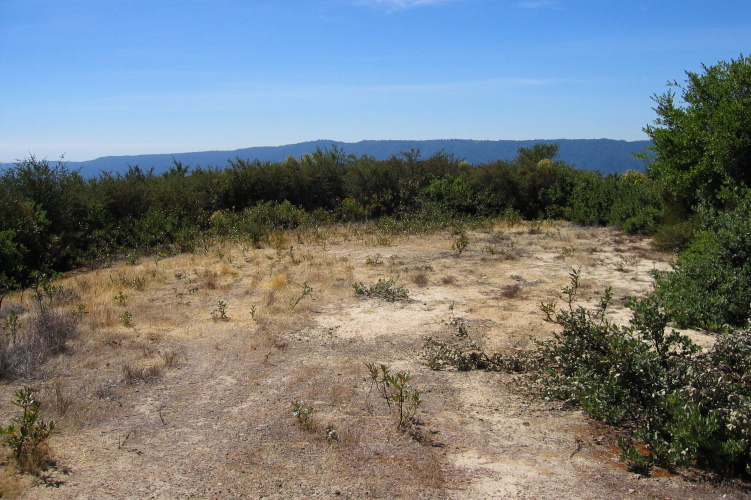A clearing for future construction? (2840ft)