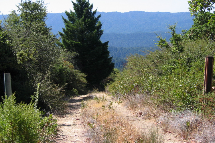 Kings Creek Truck Rd. below Isaacson's inholding. (2710ft)