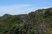 Goat Rock (right) in Castle Rock State Park. (2640ft)