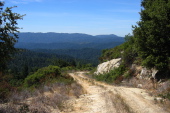 Ben Lomond Mountain and Pine Mountain from Kings Creek Truck Rd. (2360ft)