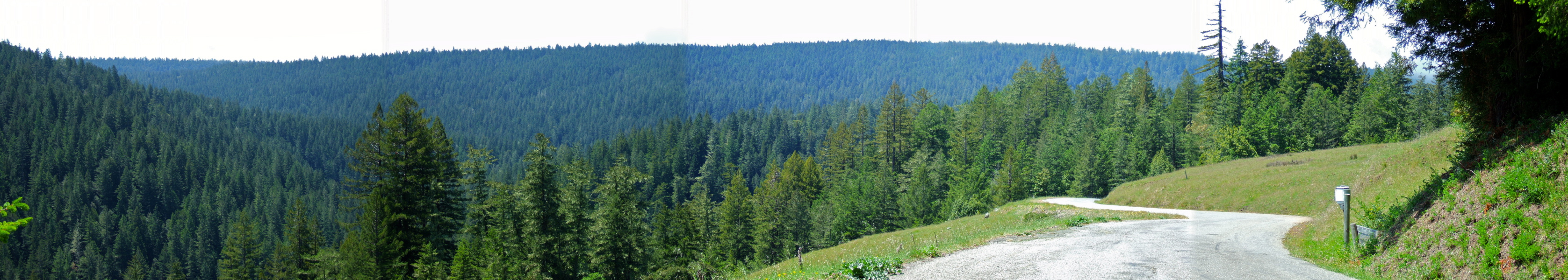 Gualala River Valley Panorama