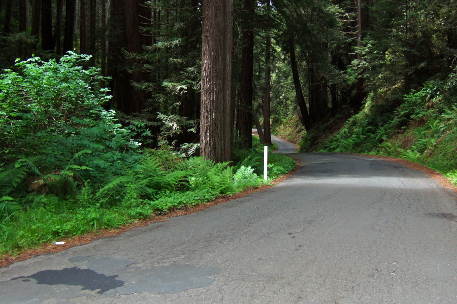 Descending alongside Stewarts Creek.