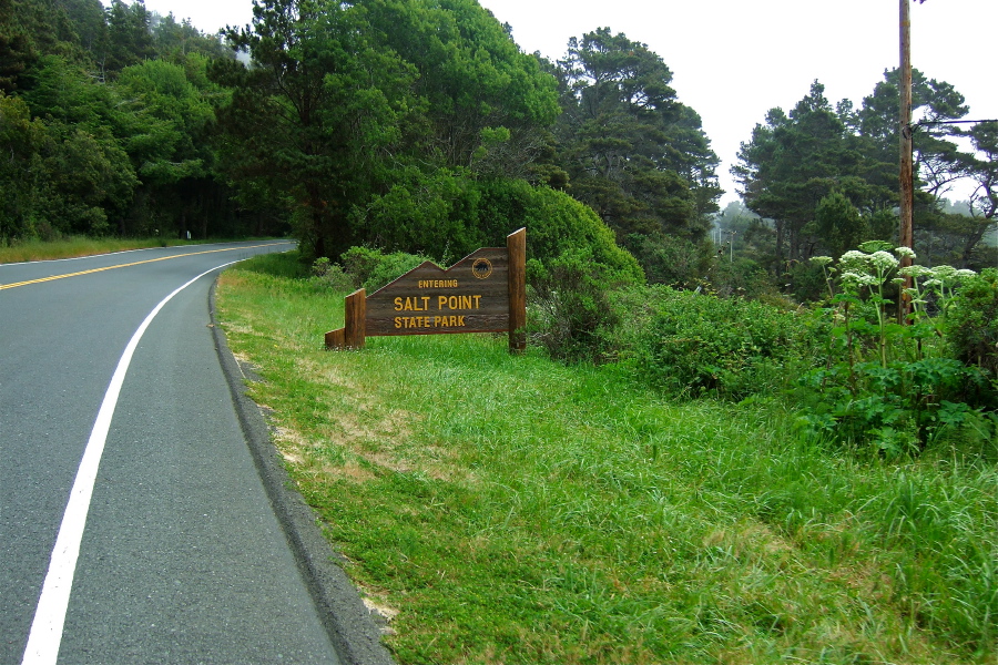 Salt Point State Park.