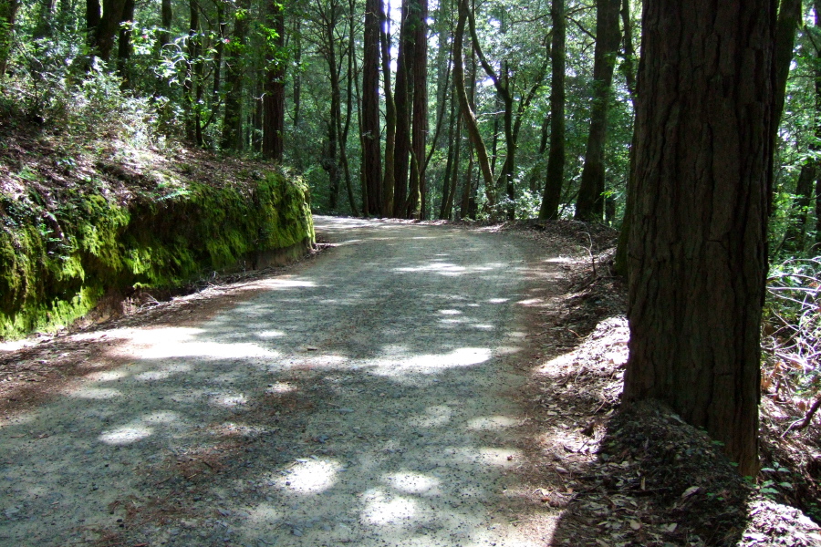 Kruse Ranch Rd. about halfway up.
