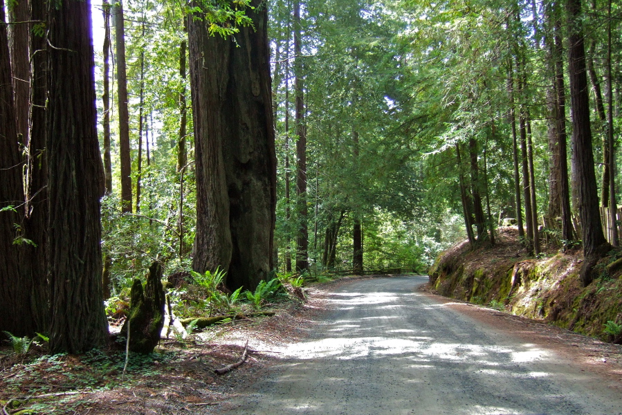 Climbing the steep section of Kruse Ranch Rd. above Plantation.