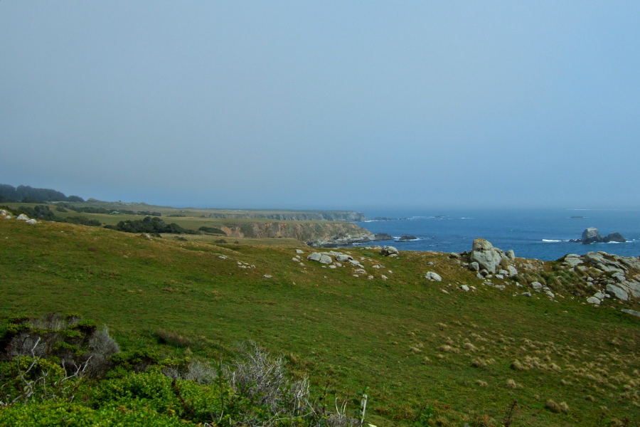The northern Sonoma Coastline under a hazy sunshine.