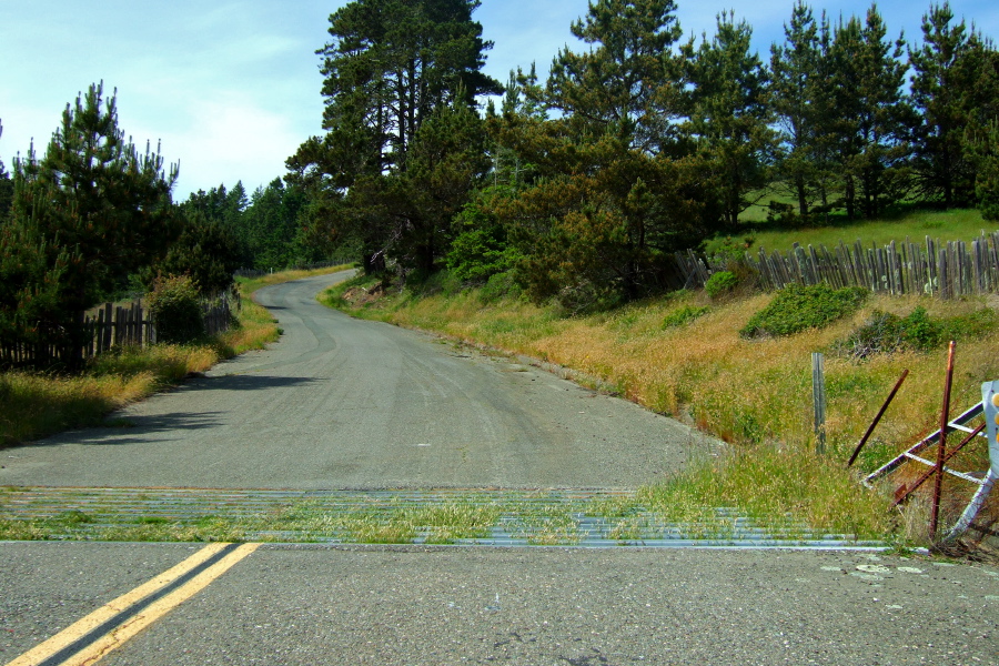 Starting the climb up Fort Ross Rd.