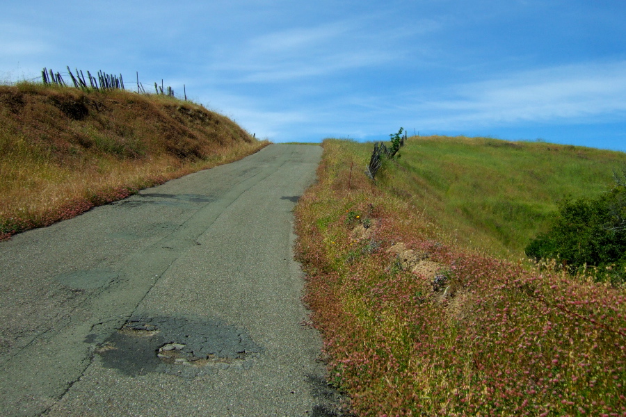 Just one more push to the top...