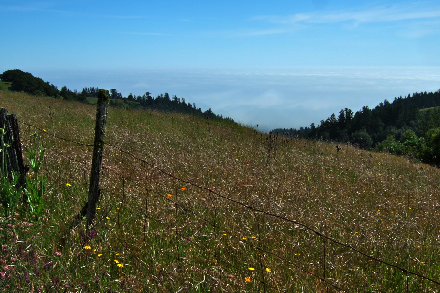 View south off Seaview Rd.