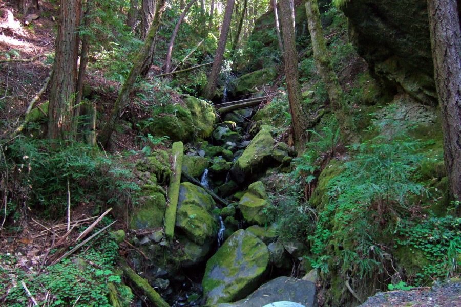 A pretty creek passes under Austin Creek Rd.