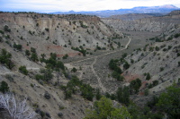 Previous