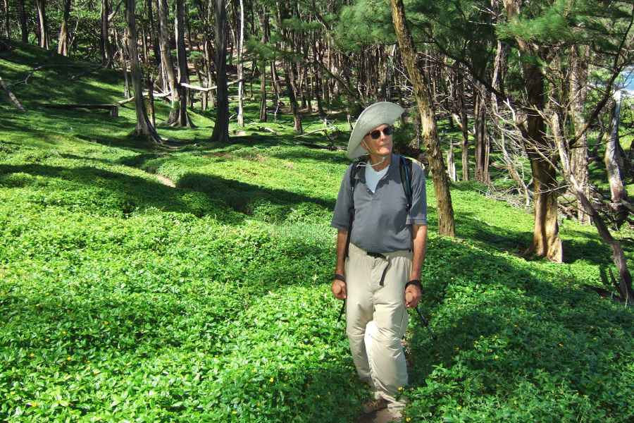 The trail becomes hemmed in by a thick cover of allamanda.