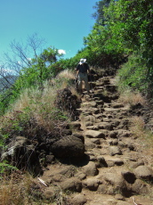 David concentrates while descending the uneven trail.