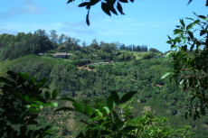 Soon we draw even with the parking lot on the other side of Pololu Valley.