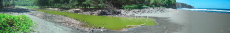 Zoo-water pool at end of Pololu Creek and Pololu Beach