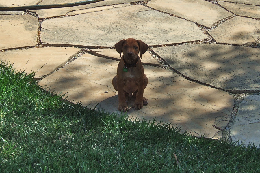 Jack sits unbidden.