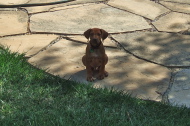 Jack sits unbidden.