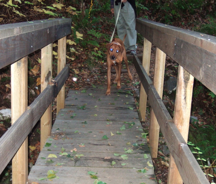 Kumba starts across a bridge.