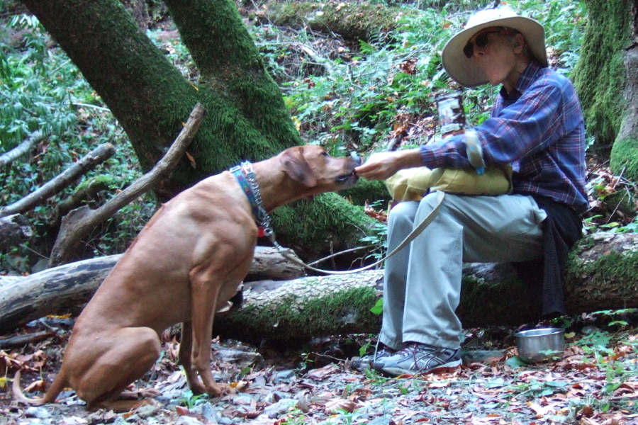 Kumba sits for some treats.