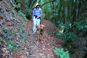 David and Kumba pause near the waterfall.