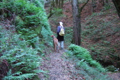 Kumba and David arrive at the bench by Los Trancos Creek.
