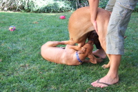 Puppy play (7).