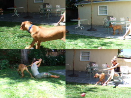 Kumba meets Ellie.