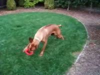 Video: Selected outdoor activities.