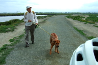 Previous