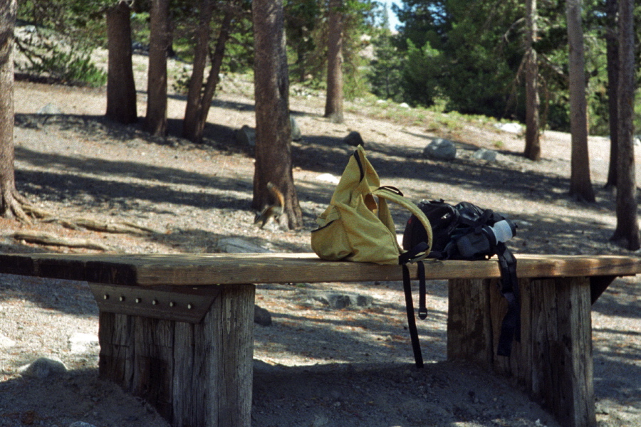 A chipmunk jumps off D's backpack after looking for a snack.