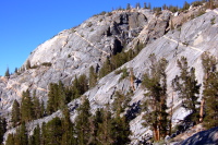 More veins in the granite.