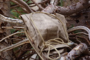 Charlie's ashes tied to the lodgepole at Upper Lamarck Lake
