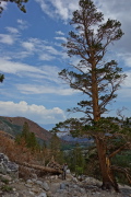 Brian pauses while descending the trail.