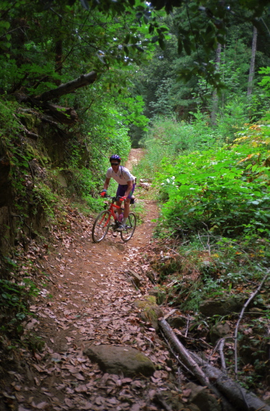 Paul descends Last Chance Rd. (trail)