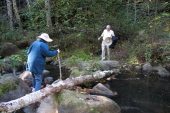 Crossing back to the north side of East Waddell Creek.