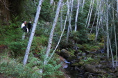 David and Kay enjoy East Waddell Creek.