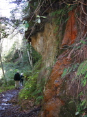 Spring in hillside on Last Chance trail