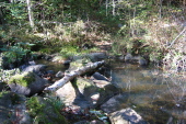 Last Chance trail crosses East Waddell Creek.