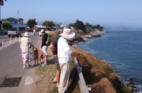 East Cliff Drive near Pleasure Point.