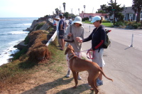 Enjoying the ocean near Pleasure Point.