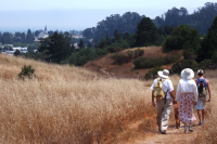 David, Kumba, Kay, and Laura hike down the trail.