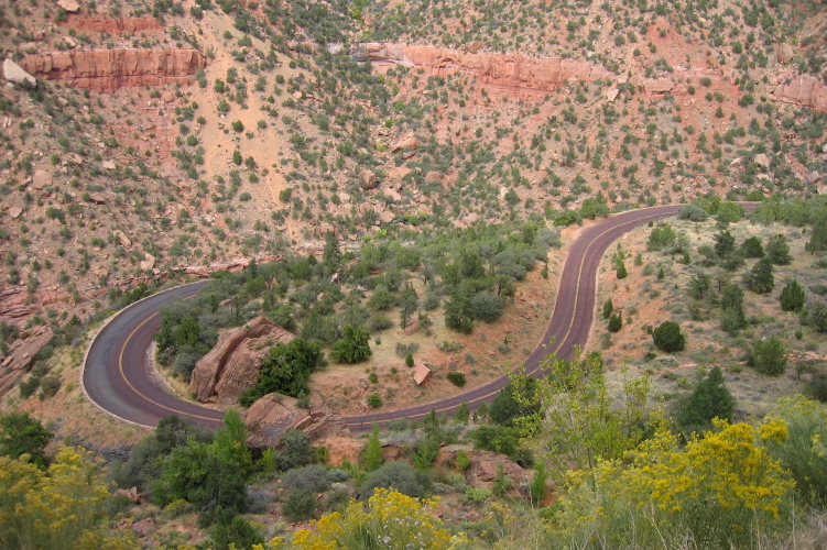 Zion-Mt. Carmel Highway.