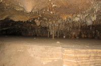 More pipes in Lehman Cave.