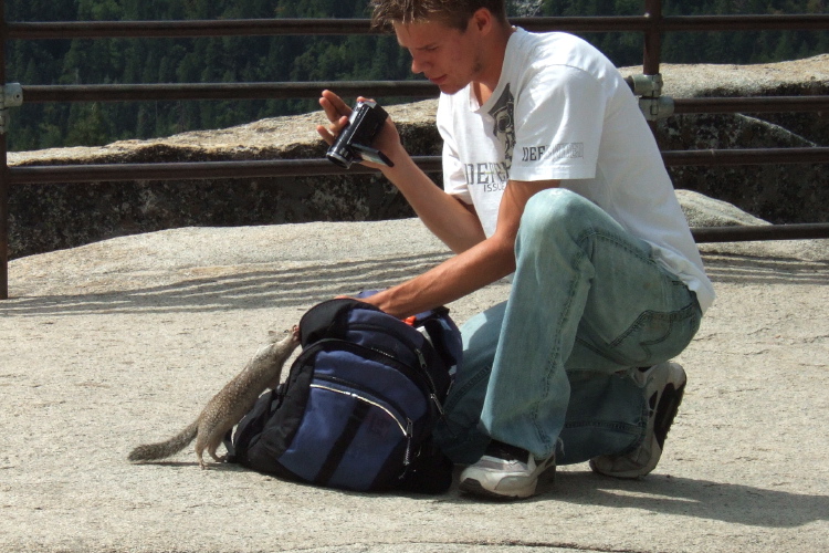 A tourist feeds a squirrel.