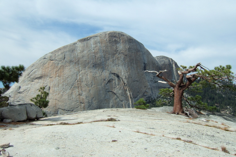 Southest face (back side) of Half Dome (8832ft) and summit of Liberty Cap (7076ft).