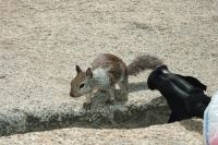 A little friend looks for a treat.