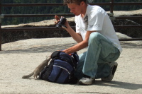A tourist feeds a squirrel.