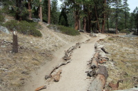 Leaving the John Muir Trail.