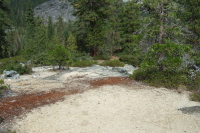 Starting up the backside of Liberty Cap.  (looking backward)