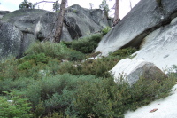 The rest of the ascent is a bushwhack up the cleft in the rock.